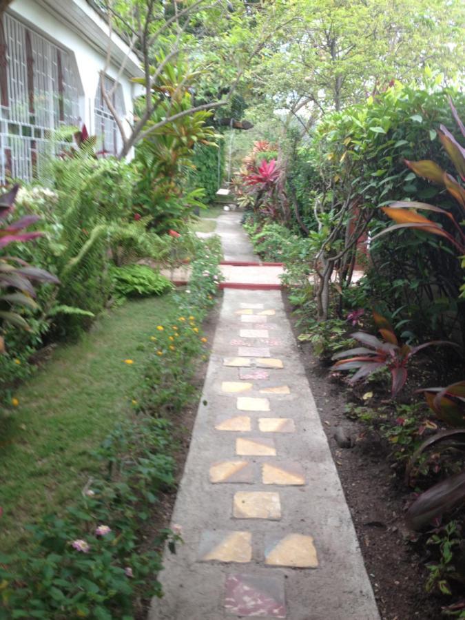 15 Min From The Airport In Kingston Jamaica Lejlighed Eksteriør billede